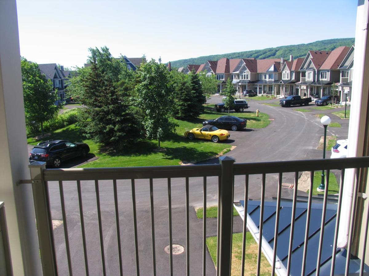 Executive Town Home-mountain View-historic Snowbridge Village, Walking Distance To The Holiday home *