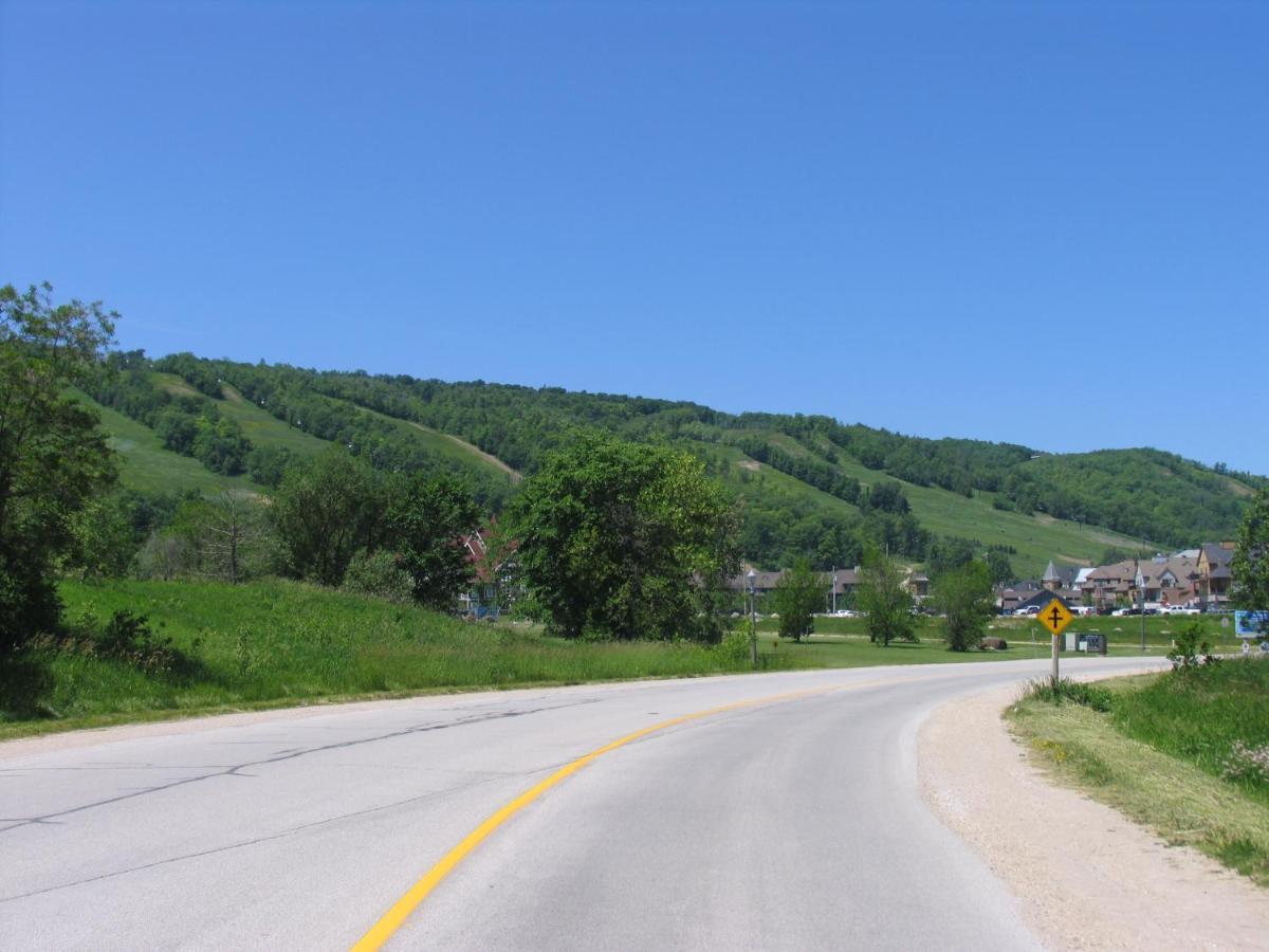 Executive Town Home-mountain View-historic Snowbridge Village, Walking Distance To The Collingwood