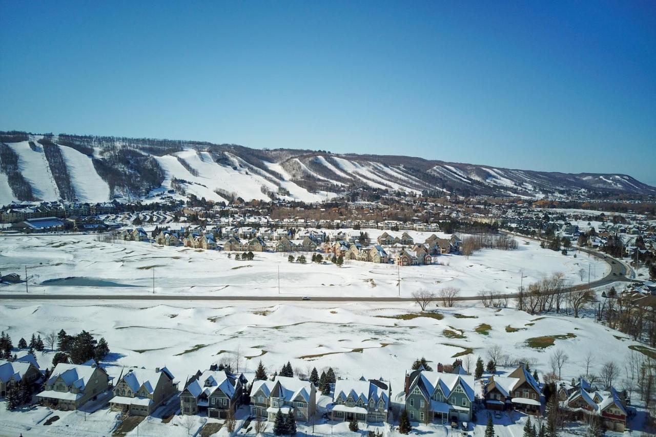 Executive Town Home-mountain View-historic Snowbridge Village, Walking Distance To The Collingwood