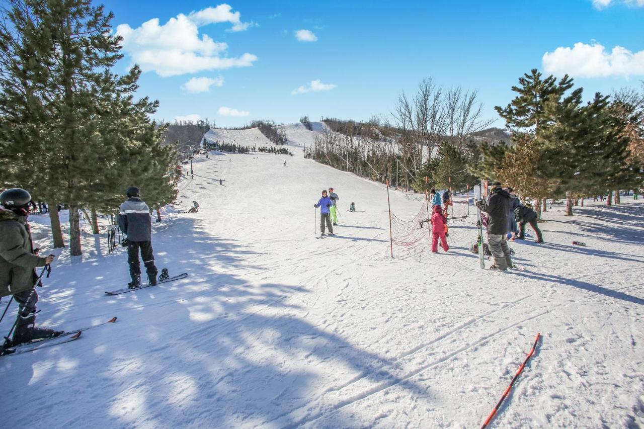 Executive Town Home-mountain View-historic Snowbridge Village, Walking Distance To The Holiday home Collingwood